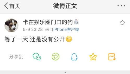 免费吃瓜爆料群主图什么