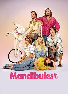 午夜精品国产更新,揭秘最新热门影视作品背后的精彩故事